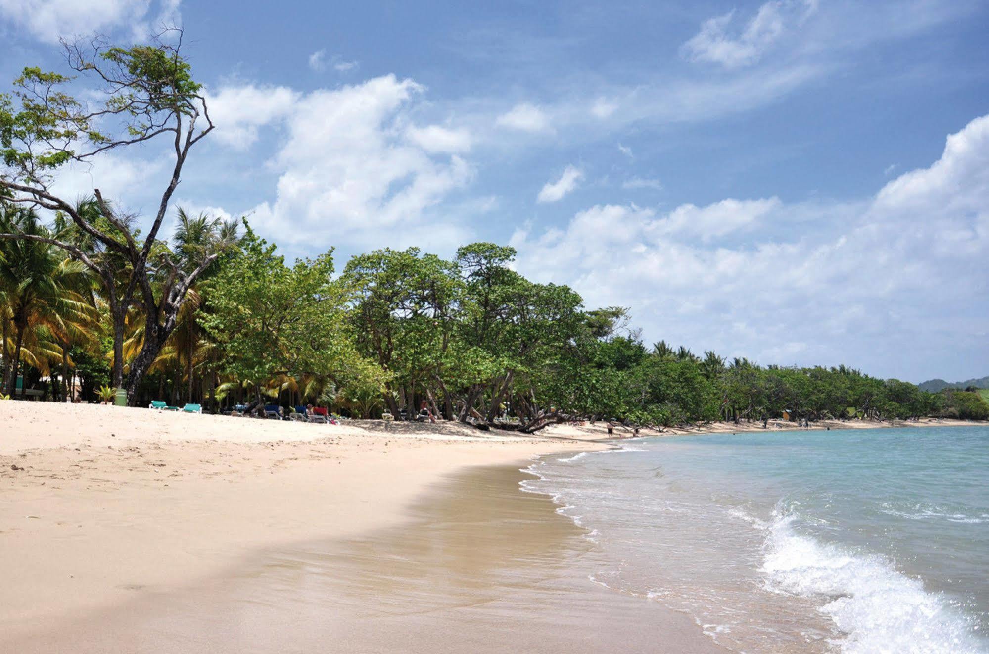 Senator Puerto Plata Vip Hotel Exterior photo